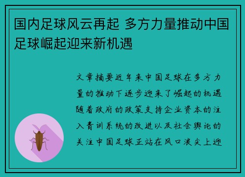 国内足球风云再起 多方力量推动中国足球崛起迎来新机遇