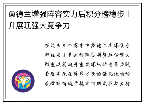 桑德兰增强阵容实力后积分榜稳步上升展现强大竞争力