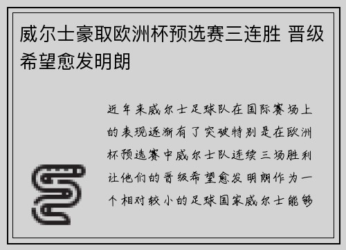 威尔士豪取欧洲杯预选赛三连胜 晋级希望愈发明朗